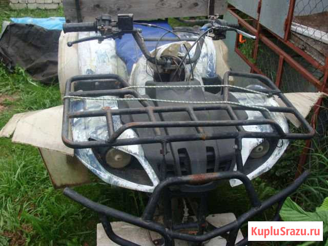 Ирбис 200 Кострома - изображение 1