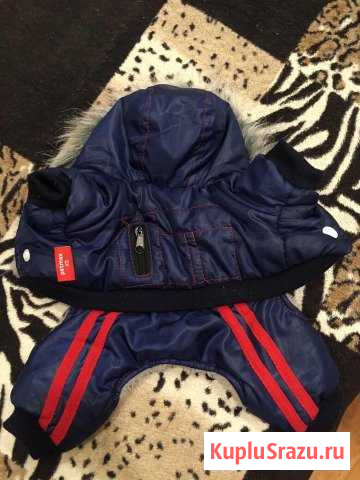 Одежда для собак комбез xs Ступино - изображение 1