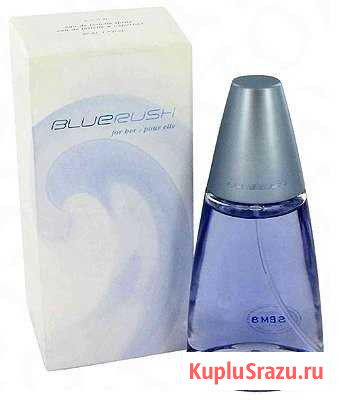 Blue Ruch Псков - изображение 1