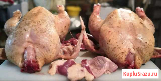 Мясо птицы Электроугли - изображение 1