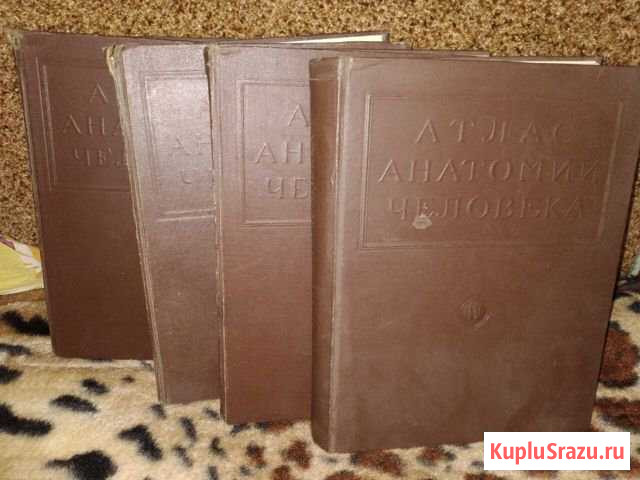 Книги «Атлас анатомии человека» Шуя - изображение 1