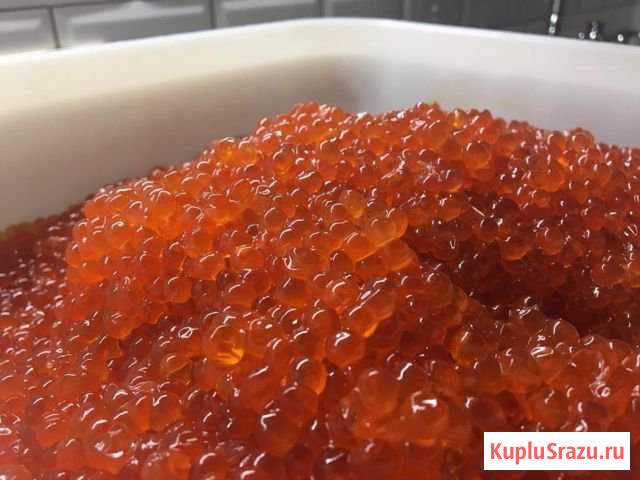 Икра красная Петропавловск-Камчатский - изображение 1