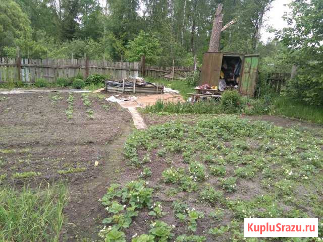  Светлый - изображение 1