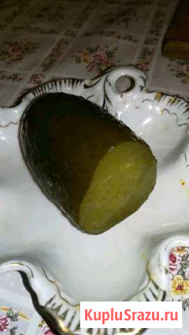 Соленые огурцы (посол бочковой) Коломна - изображение 1