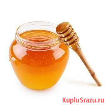Мед Курсавка - изображение 1