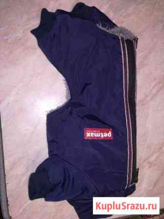 Комбинезон для собаки Ногинск