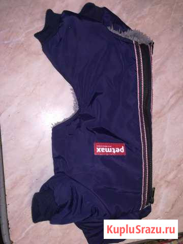 Комбинезон для собаки Ногинск - изображение 1