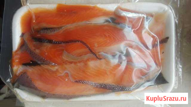 Рыбный набор Белгород - изображение 1