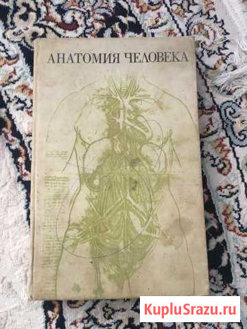 Анатомия Грозный - изображение 1