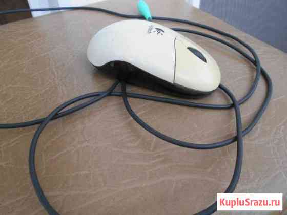 Мышка компьютерная logitech Геленджик