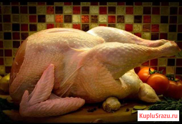 Домашние тушки индейки Калуга - изображение 1