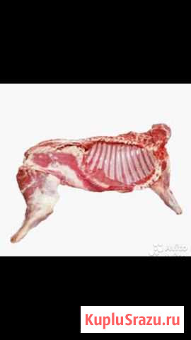 Мясо Баранины Халяль Липецк - изображение 1