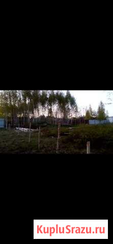  Богородск - изображение 1