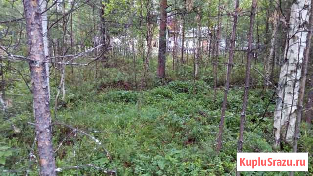  Архангельск - изображение 1
