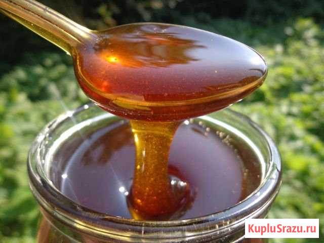 Мед Кострома - изображение 1