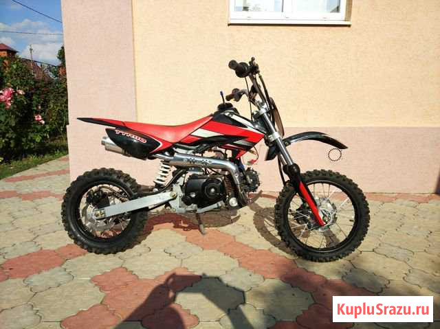 Irbis TTR 110 Орловский - изображение 1