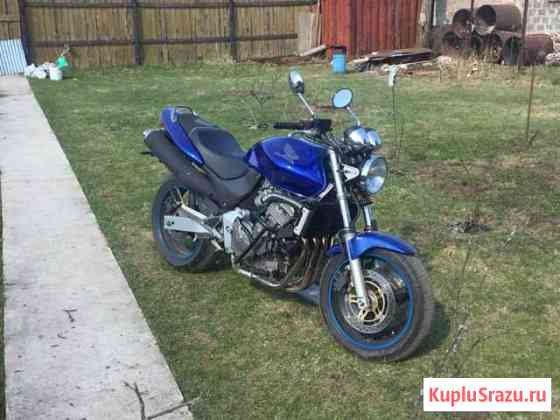 Honda cb600 hornet Орехово-Зуево