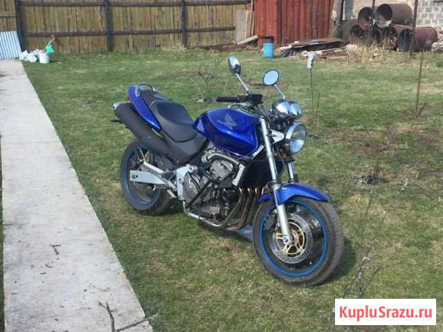 Honda cb600 hornet Орехово-Зуево - изображение 1