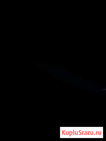 Собака Новокузнецк - изображение 1