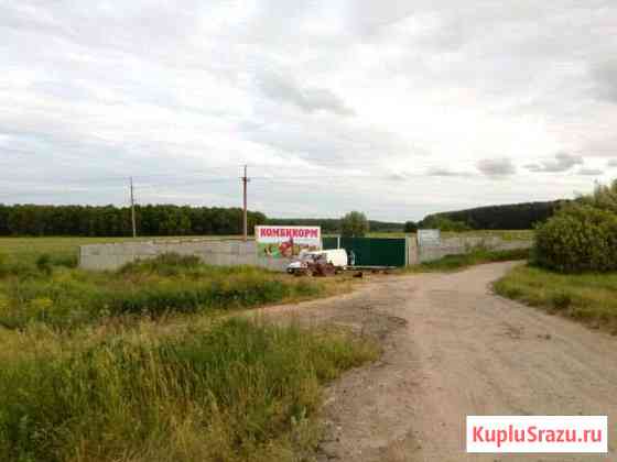 Комбикорм Кстово