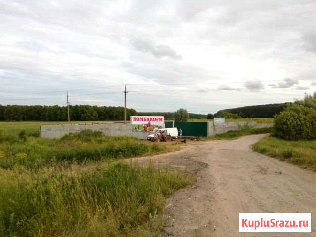 Комбикорм Кстово - изображение 1