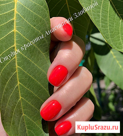 Маникюр, педикюр, оформление и окраска бровей Губкин - изображение 4