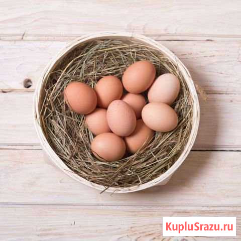 Яйцо куриное Кстово - изображение 1