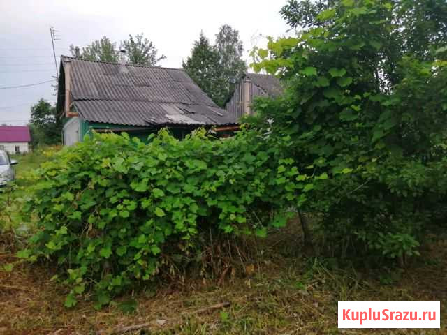 Дом 30 кв.м. на участке 18 сот. Агеево - изображение 1