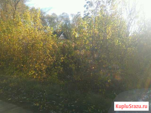  Кочкурово - изображение 1