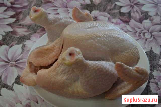 Домашние тушки кур бройлера Балахна - изображение 1