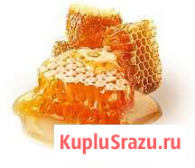 Мед, продам оптом. 500кг. цена за 1кг Шадринск - изображение 1