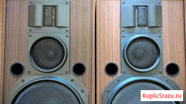 Акустическая система колонки Электроника 25ас-033 Канаш - изображение 1