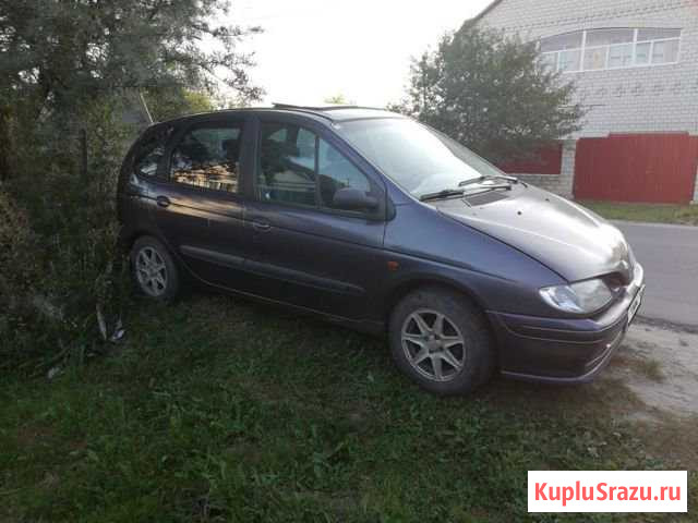 Renault Scenic 2.0 МТ, 1997, минивэн Новозыбков - изображение 1