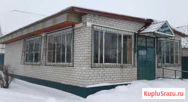 Дом 95 кв.м. на участке 4 сот. Борисовка - изображение 1