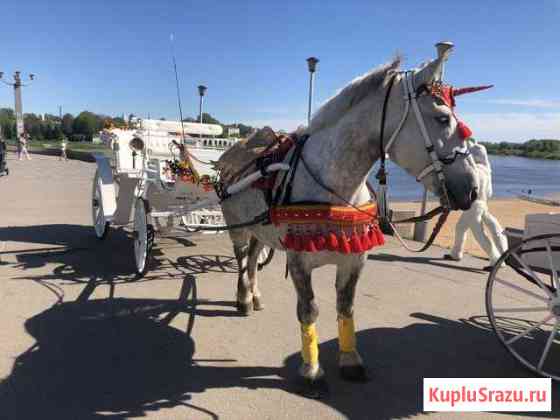 Карета на свадьбу Великий Новгород