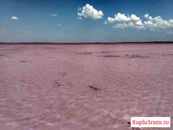 Морская соль Кояжского озера Мурино