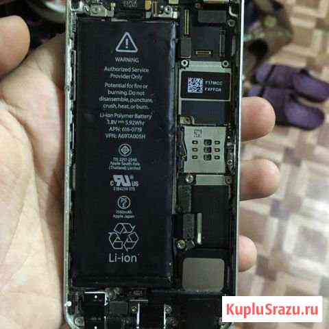 iPhone 5 Луга