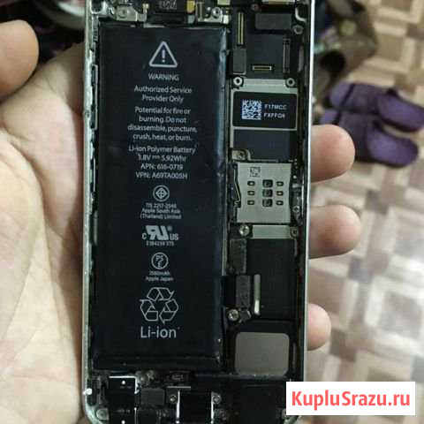 iPhone 5 Луга - изображение 1