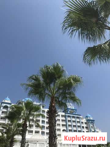 Магазин Шармель, трц. Солнечный Новый Уренгой - изображение 1