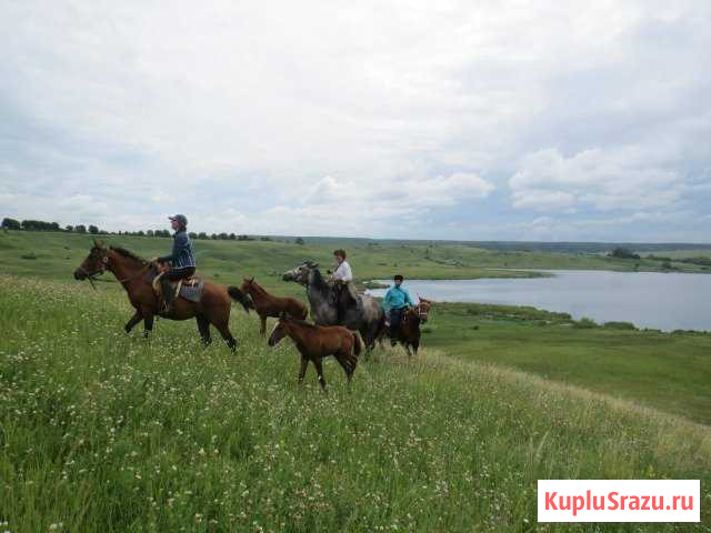  Саранск - изображение 1