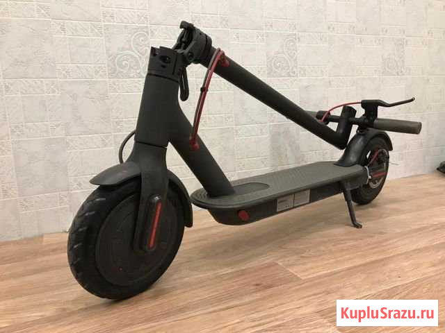 Электросамокат Xiaomi M365 оригинал Мурино - изображение 1