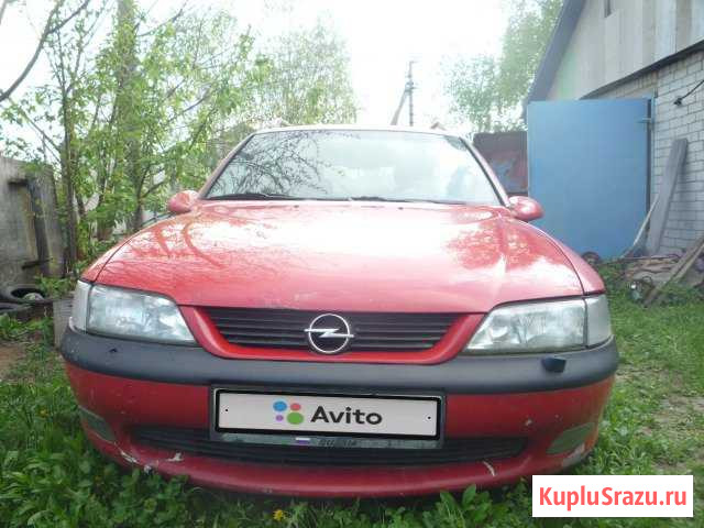 Opel Vectra 2.0 МТ, 1998, универсал Почеп - изображение 1
