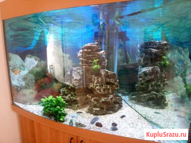 Аквариум с тумбой на 500л с полной фильтрацией Балашиха - изображение 1