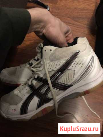 Кроссовки волейбольные asics Петрозаводск - изображение 1