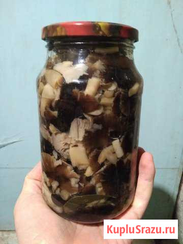 Грибы маринованные Судак - изображение 1