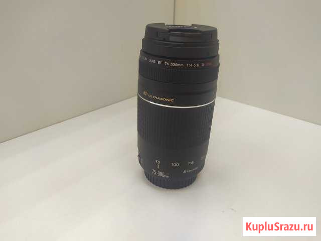 Объективы Canon Ef 75-300mm 1/4-5/6 Iii Белгород - изображение 1