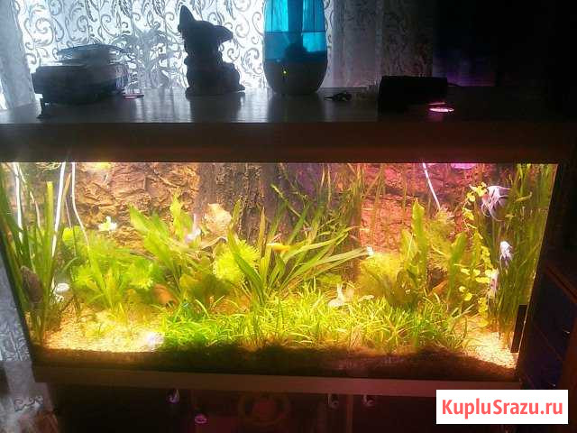 Комплект 360л Кстово - изображение 1