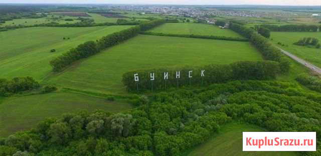  Буинск - изображение 1
