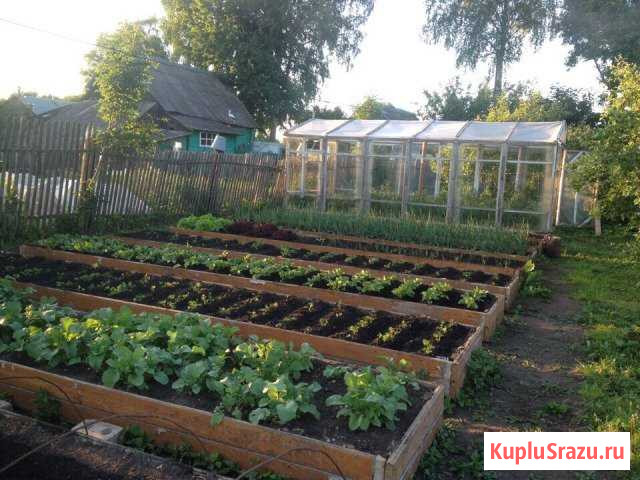 Дом 40 кв.м. на участке 22 сот. Шимск - изображение 1