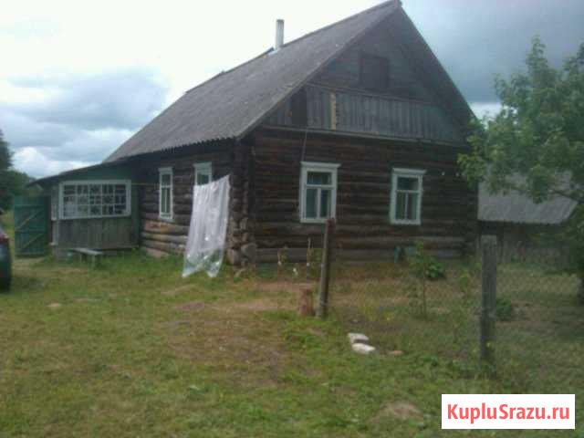Дом 30 кв.м. на участке 28 сот. Новоржев - изображение 1